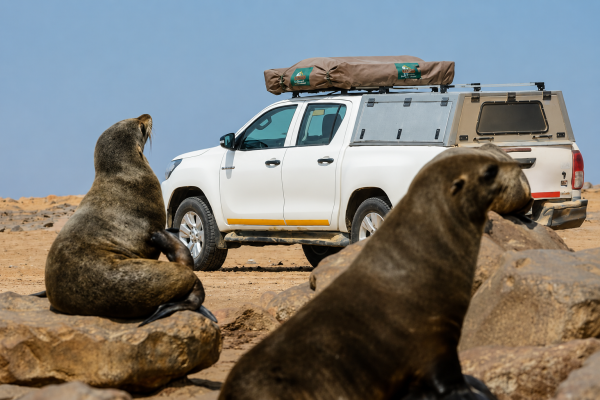 Cape Cross - Namibia