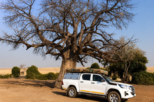 Chobe - Botswana
